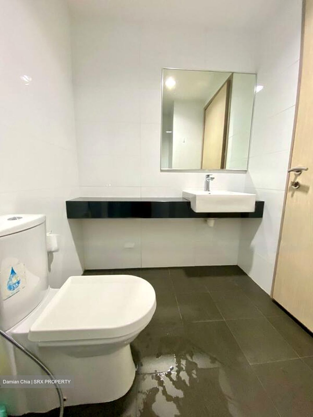 Opal Suites (D12), Apartment #486327701